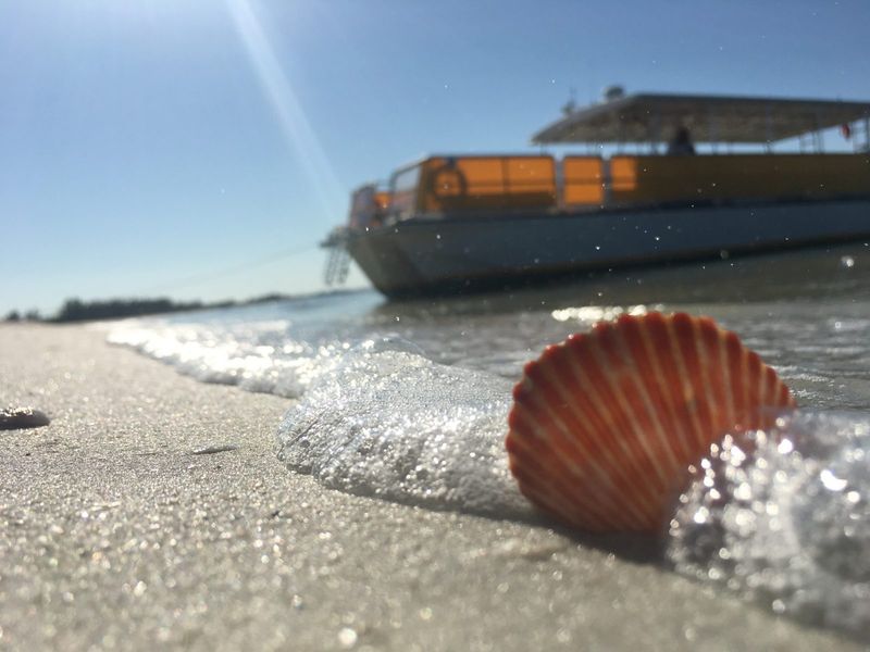 Take a Boat to Cayo Costa for a Day of Shelling