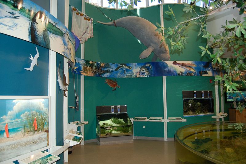 Rookery Bay National Estuarine Research Reserve – Gateway to the Mangroves