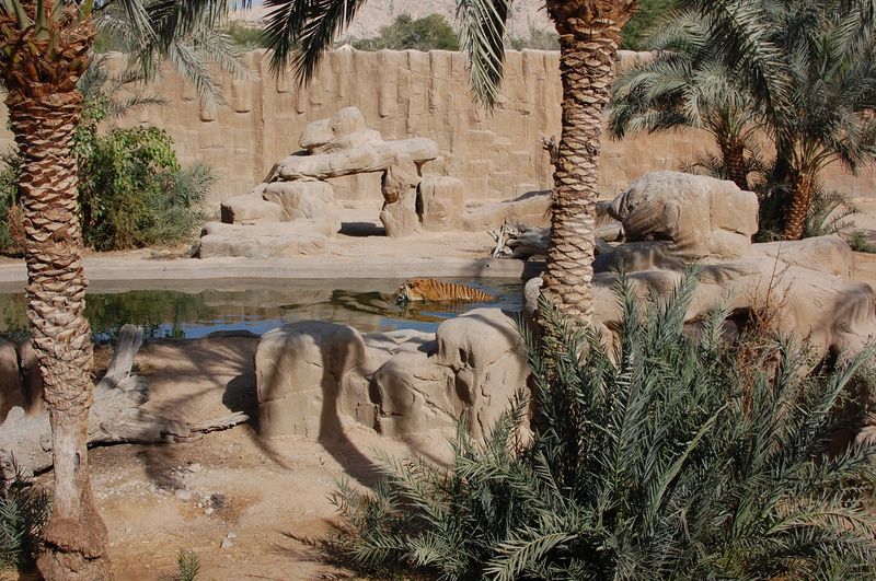 Emirates Park Zoo & Al Ain Zoo