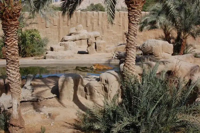 Emirates Park Zoo & Al Ain Zoo
