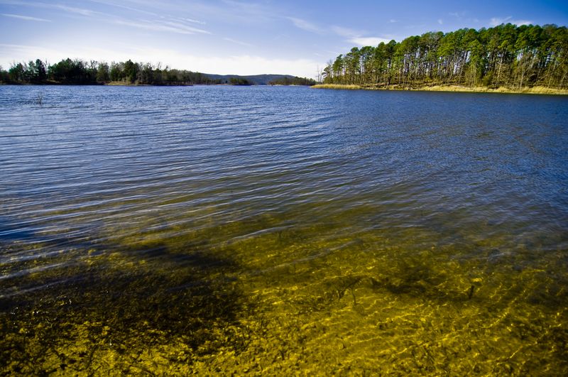Lake Ouachita (Arkansas)