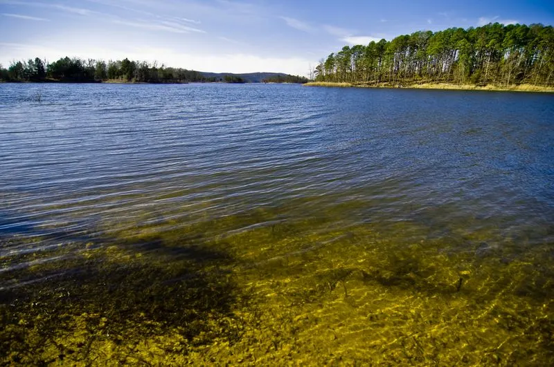 Lake Ouachita (Arkansas)