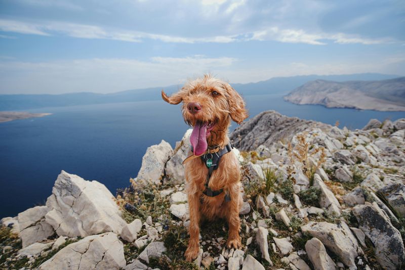 Dirtyface Peak Trail