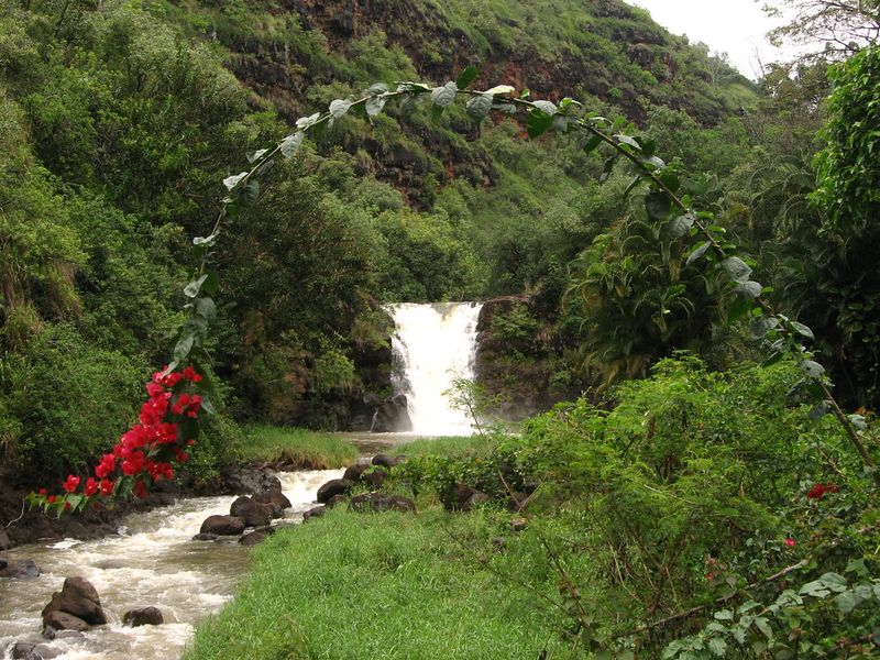 Waimea Valley, Oahu