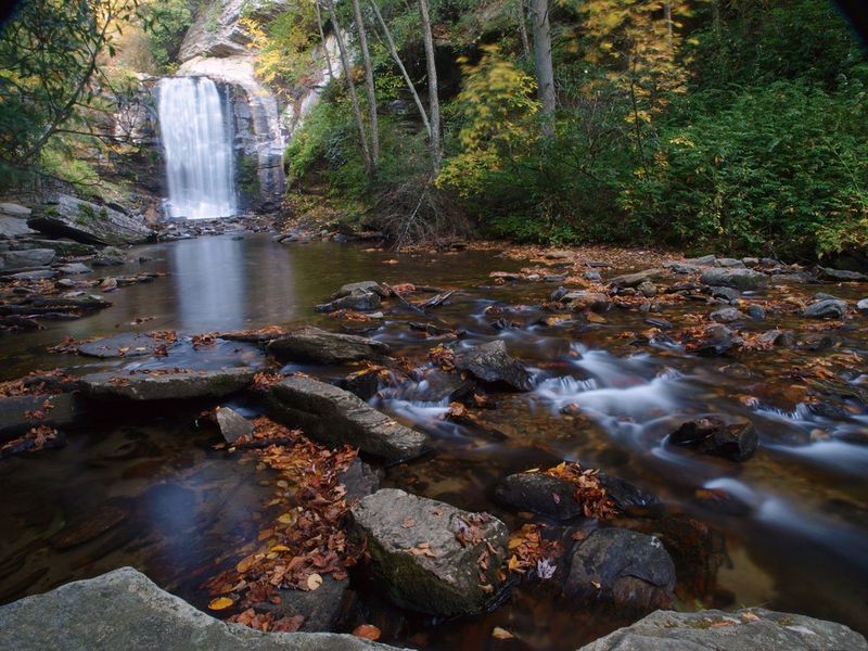 Looking Glass Falls – North Carolina