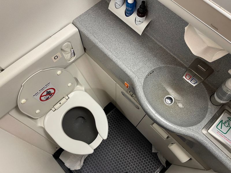 Trying to use the bathroom during takeoff or landing