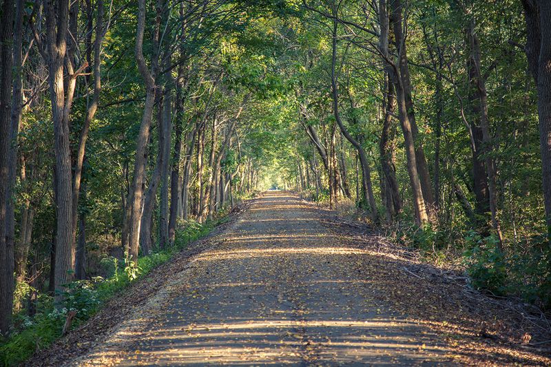 Cardinal Greenway – Indiana