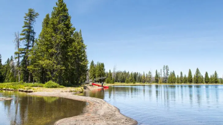 Lewis Lake: Yellowstone’s Serene Escape for Boaters, Anglers, and Nature Lovers