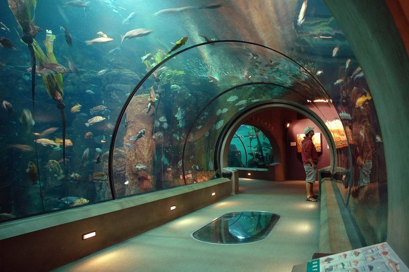 Newport – Oregon Coast Aquarium & Yaquina Head Lighthouse
