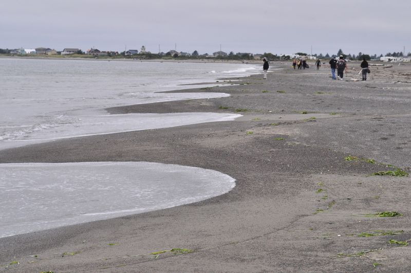 Ocean Shores