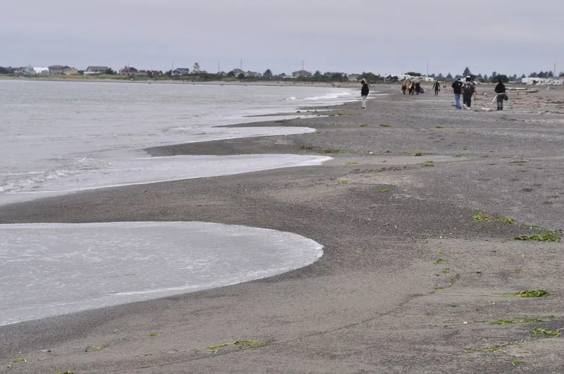 Ocean Shores