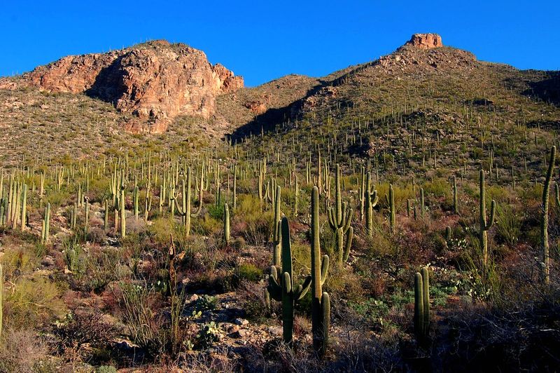Tucson, Arizona