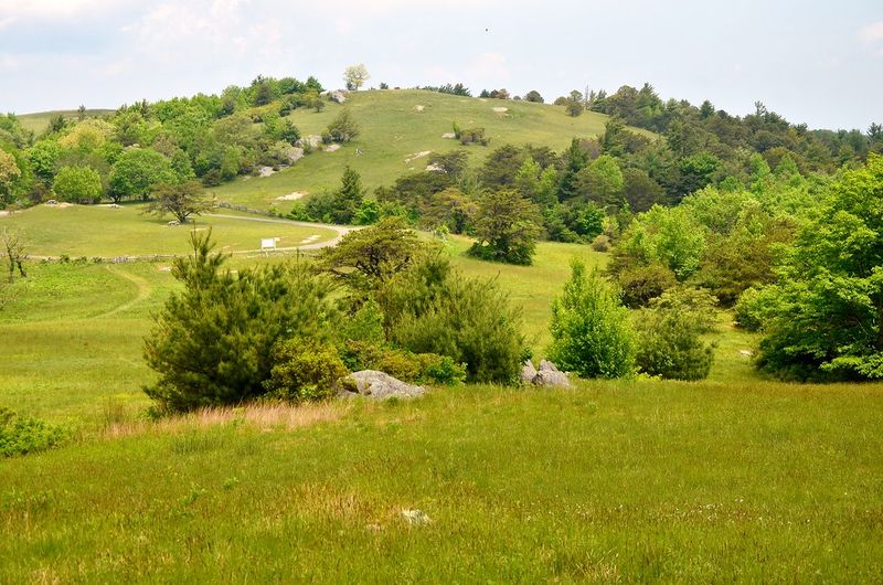 Blue Ridge Music Center to Doughton Park