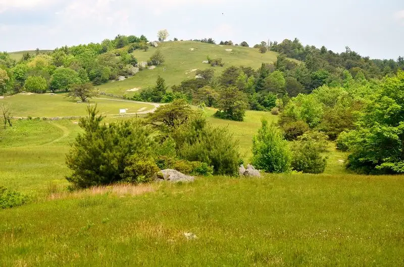 Blue Ridge Music Center to Doughton Park