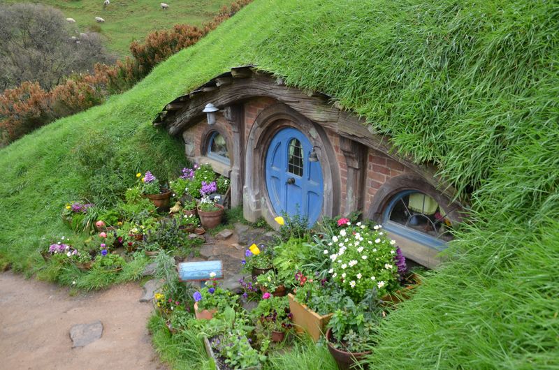 Lord of the Rings and Hobbiton Tours