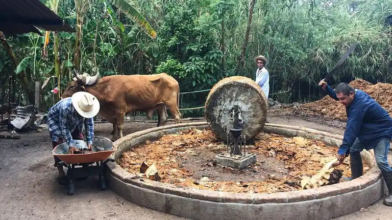 Mezcal Culture Is Deep, Local, and Personal