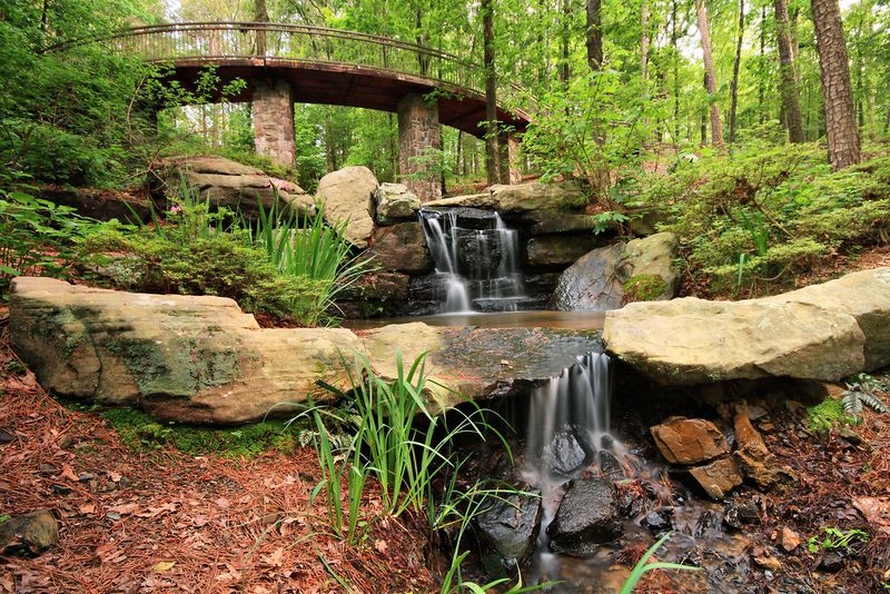 Garvan Woodland Gardens: A Fairy Tale Come to Life