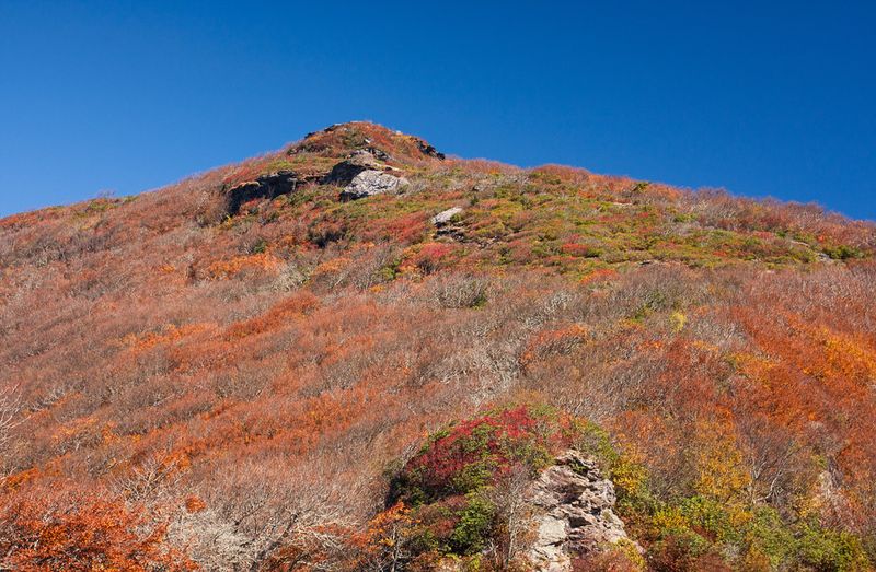 Julian Price Park to Craggy Gardens