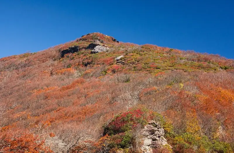Julian Price Park to Craggy Gardens