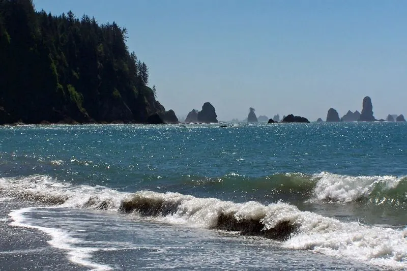 Olympic Peninsula (WA)