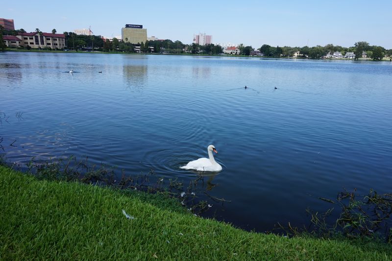 Lake Morton