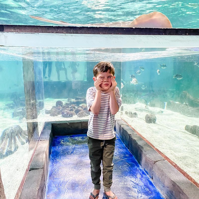 SeaQuest Las Vegas at Boulevard Mall
