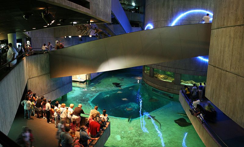 National Aquarium