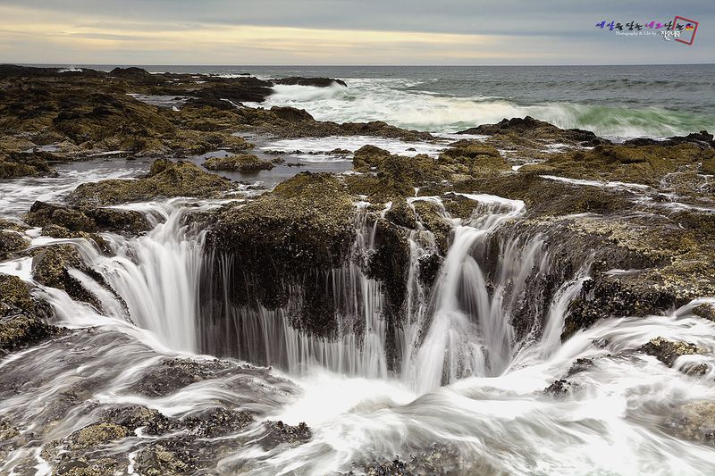 Cape Perpetua Scenic Area