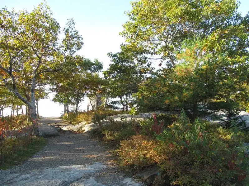 Camping Area