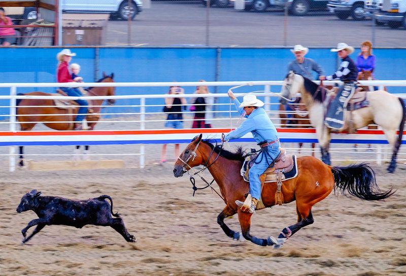 Cody Nite Rodeo