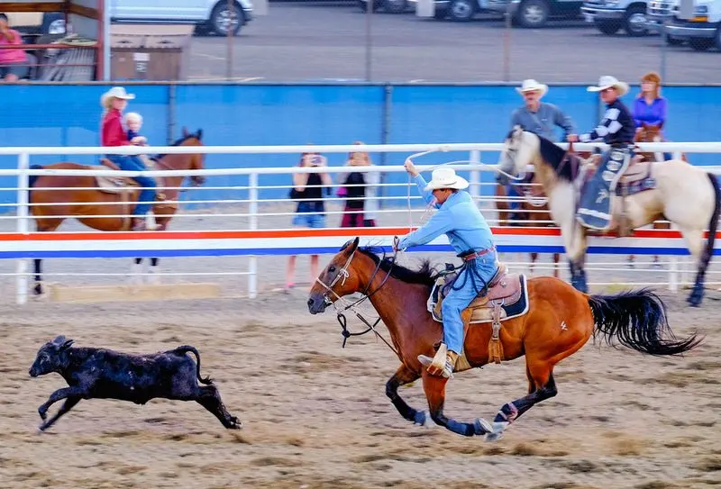 Cody Nite Rodeo