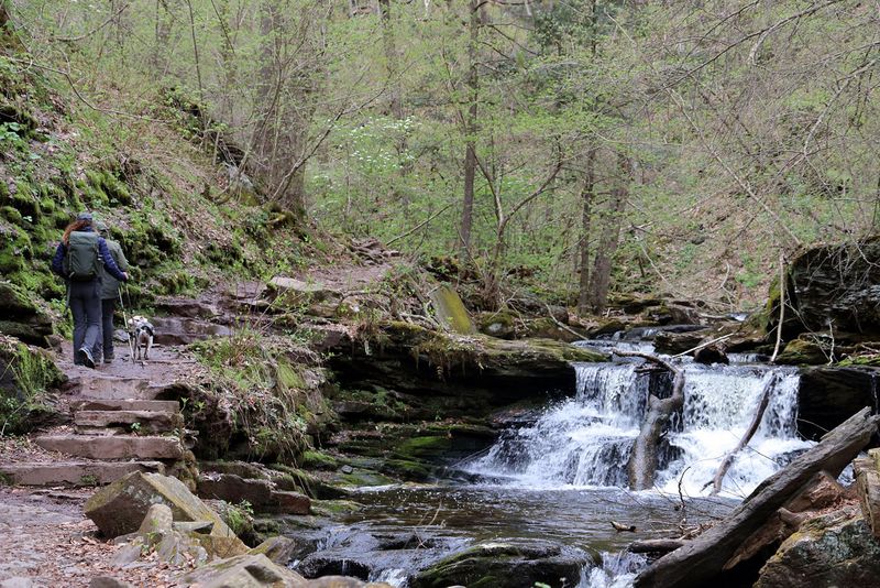 Pennsylvania – Ricketts Glen State Park