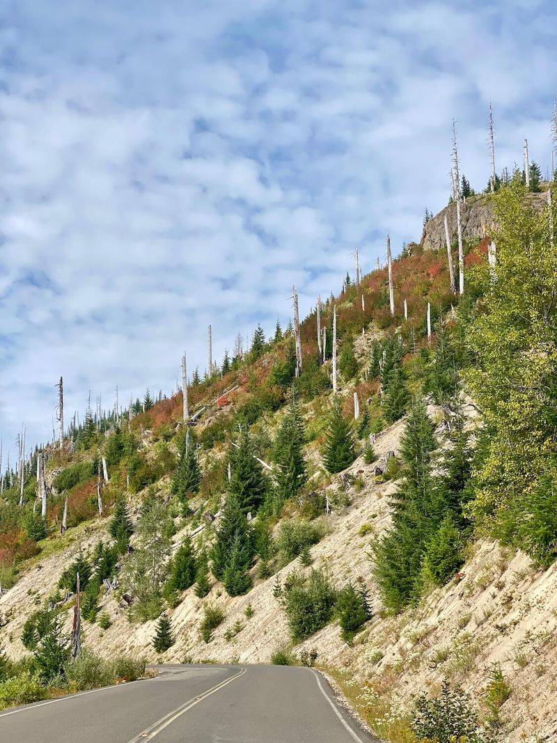 Spirit Lake Highway (SR 504)