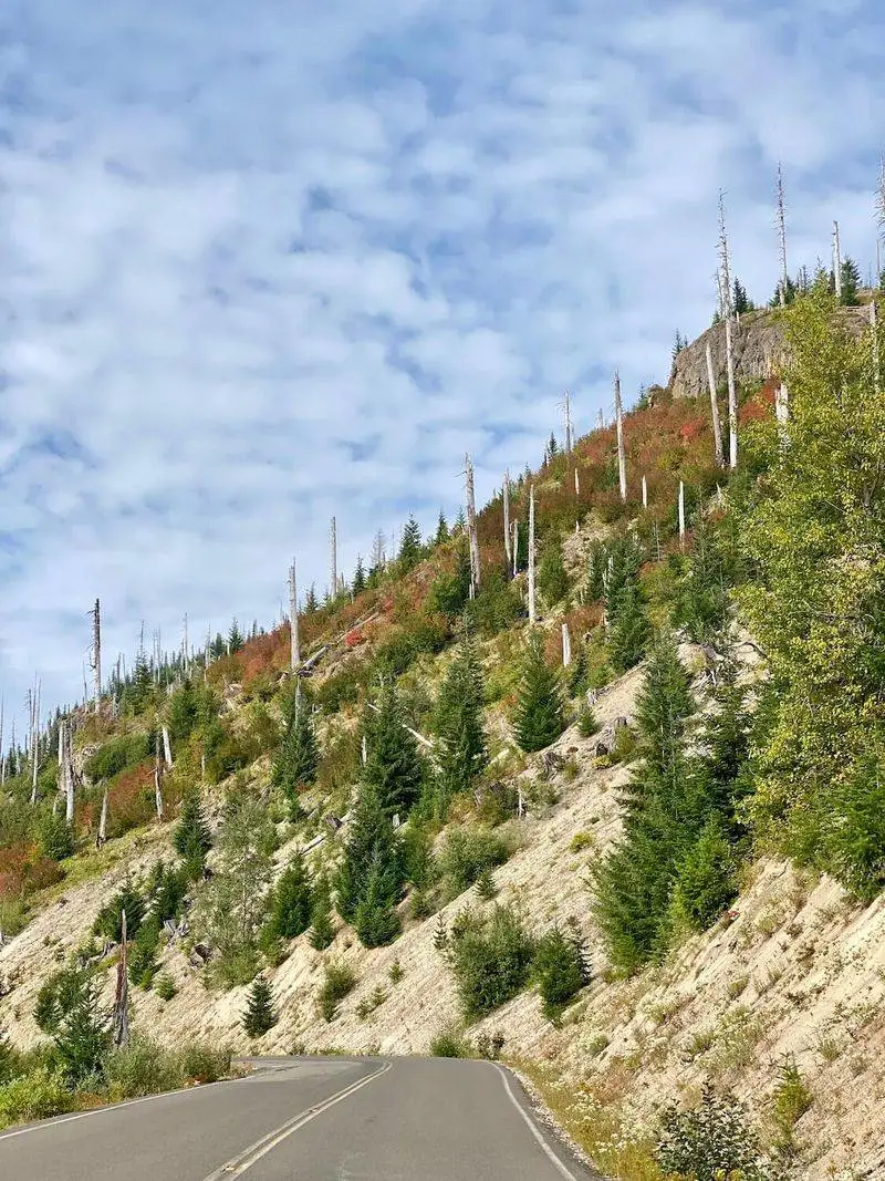 Spirit Lake Highway (SR 504)