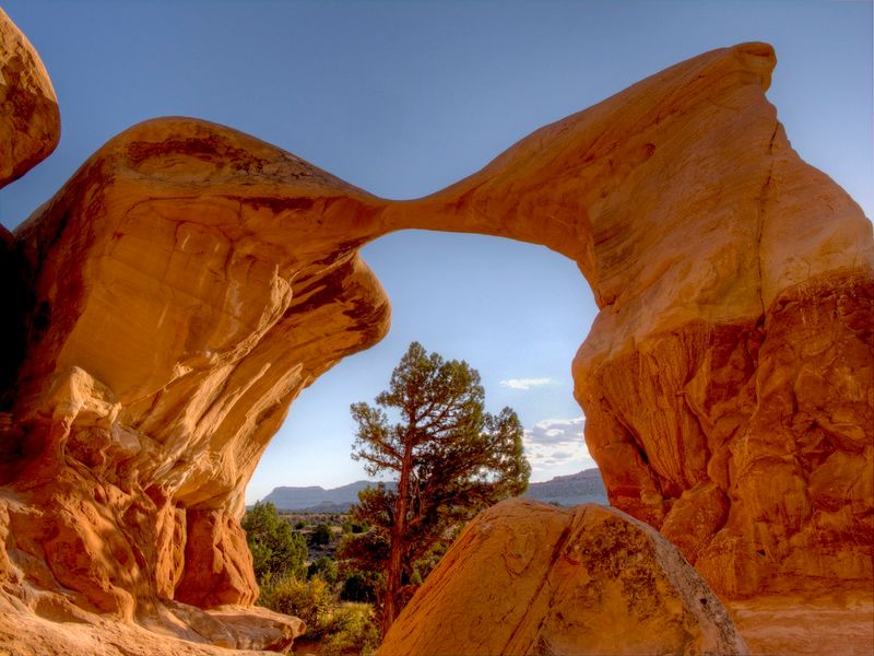 Escalante