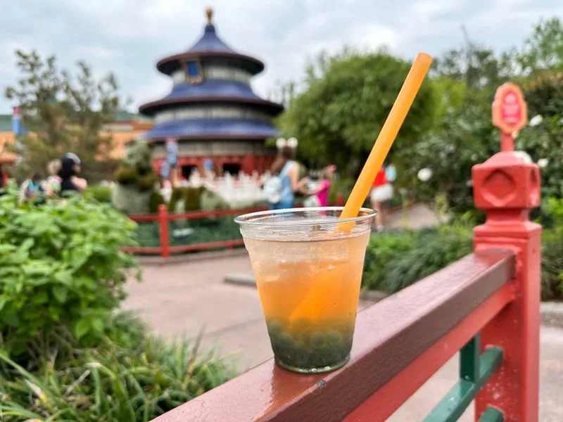 Drunken Debauchery at Epcot’s “Drink Around the World”
