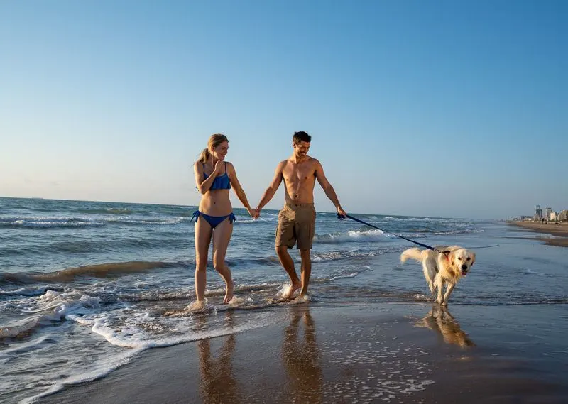 Pet-Friendly Travel Guide