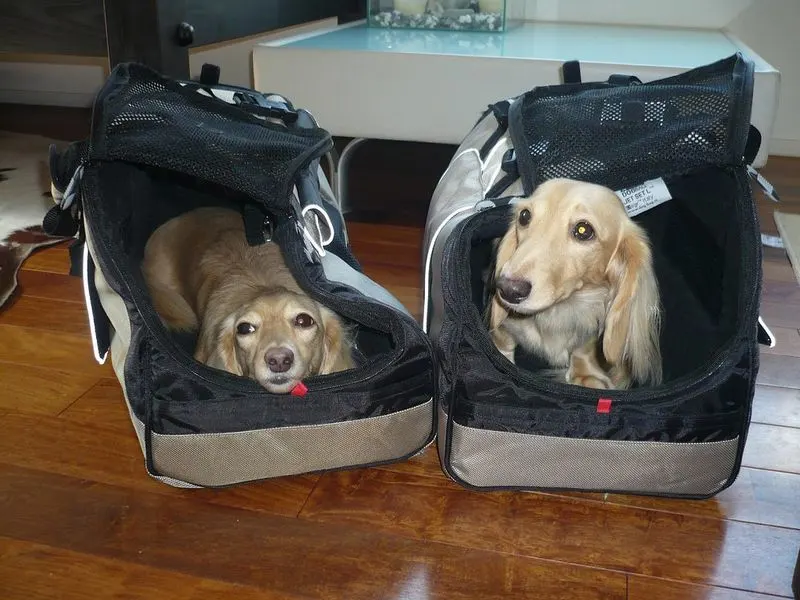 Pet Travel Bed