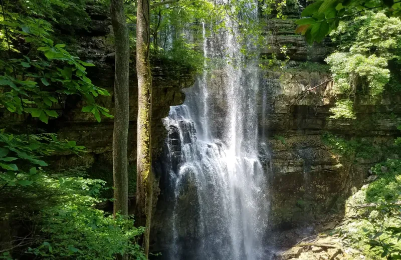 Scotts Gulf Wilderness Trails