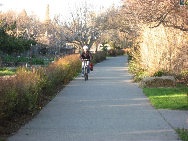 Davis, California