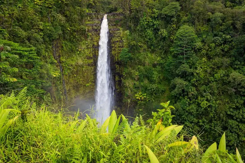 Akaka Falls State Park, Big Island