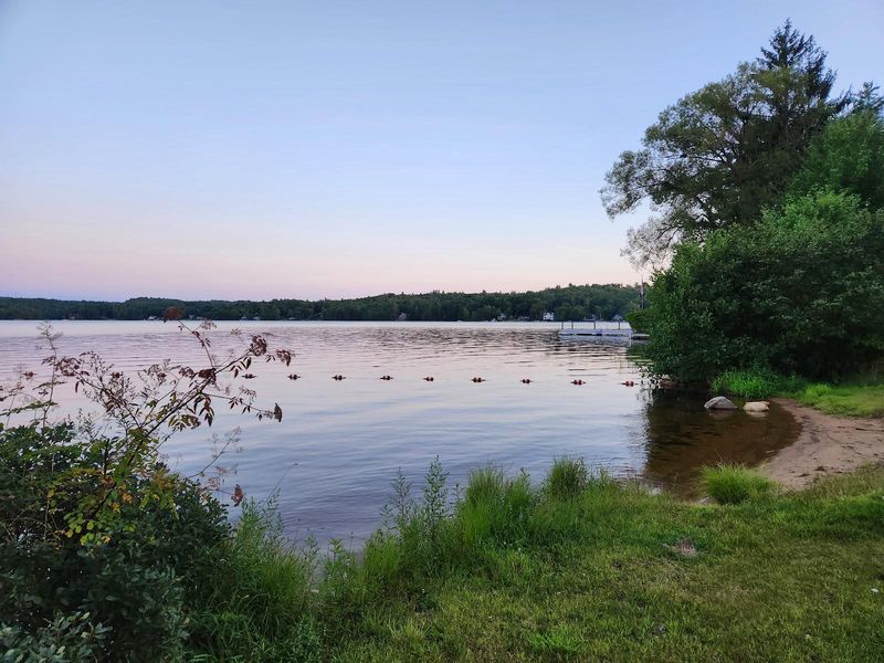 The Natural Beauty of Northwood Lake