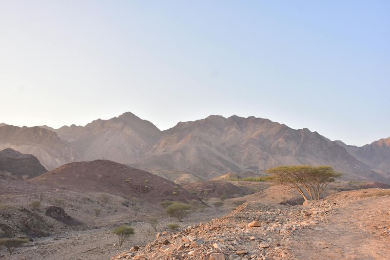 Hatta Adventure Hub