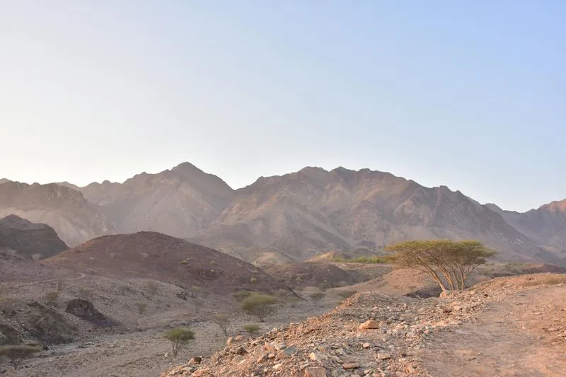 Hatta Adventure Hub