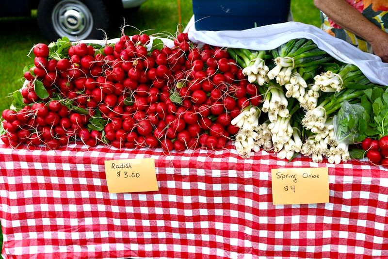 Discover Lewes Farmers Market