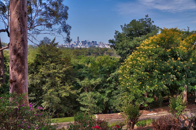 Mt Coot-tha Lookout and Botanic Gardens