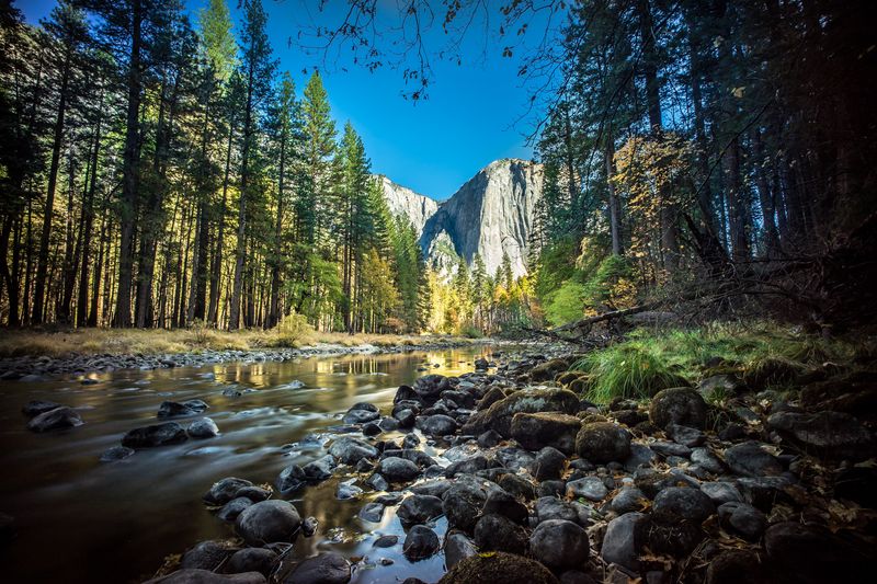 Yosemite National Park