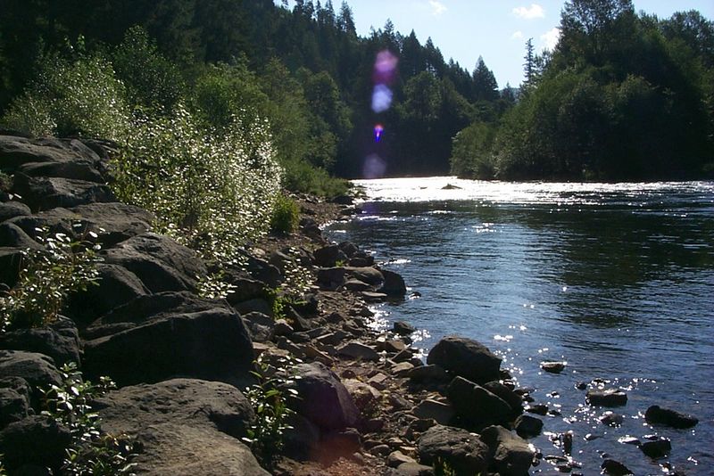 McKenzie River Corridor