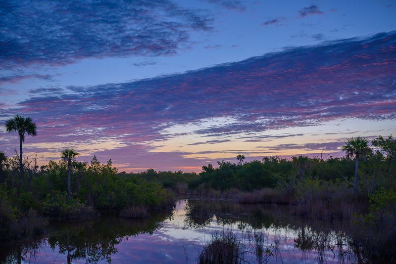 Ten Thousand Islands – The Doorstep of the Everglades