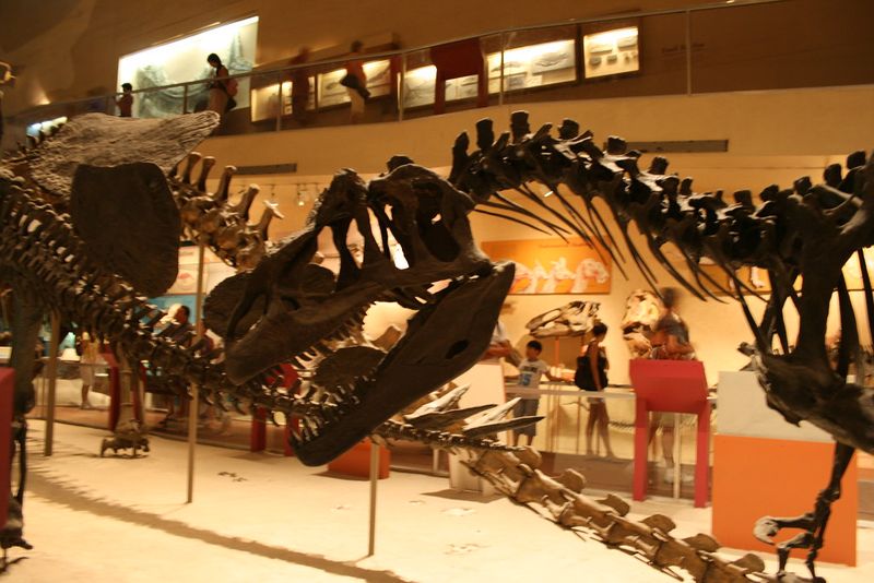 Seasonal and Rotating Exhibits Keep Things Fresh